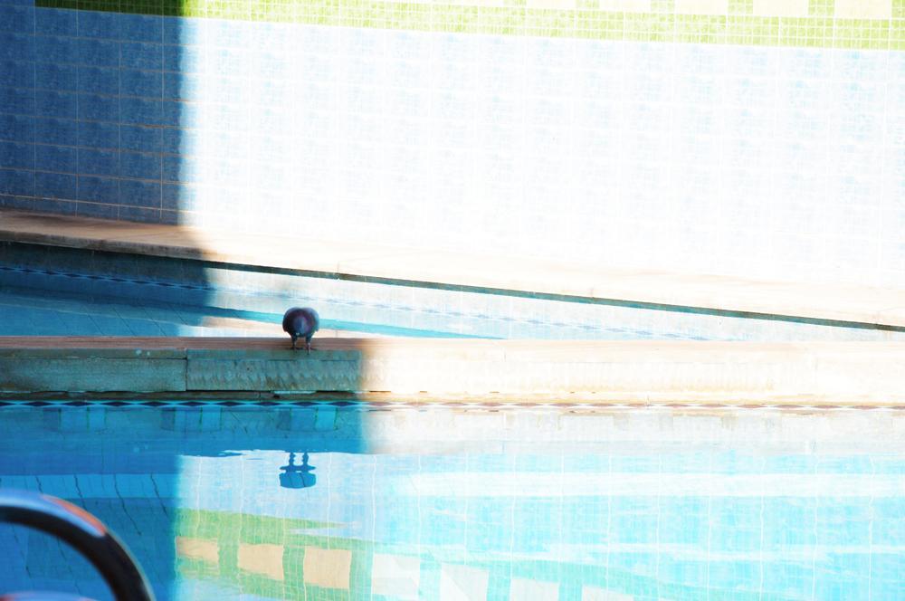 Hotel Residence Amalou Μαρακές Εξωτερικό φωτογραφία